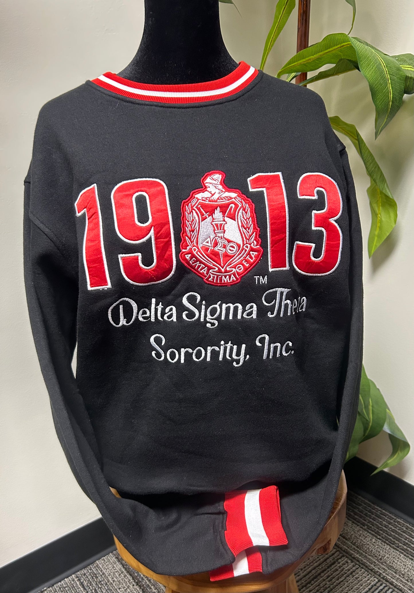 DELTA SIGMA THETA STATEMENT SWEATSHIRT