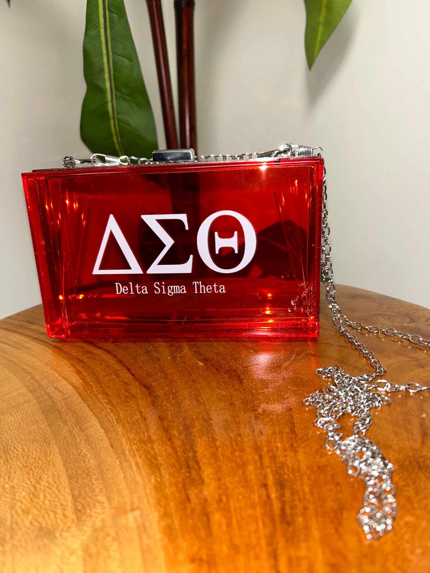 Delta Sigma Theta Stadium Clutch bag