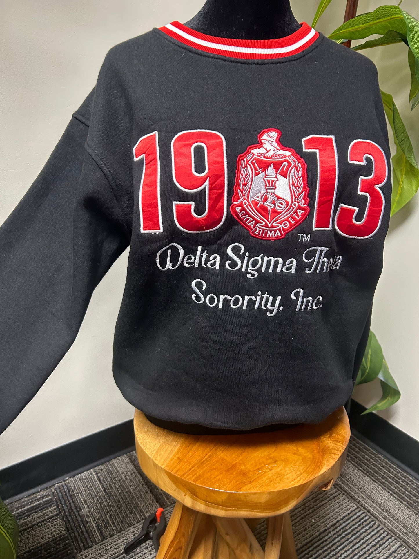 DELTA SIGMA THETA STATEMENT SWEATSHIRT