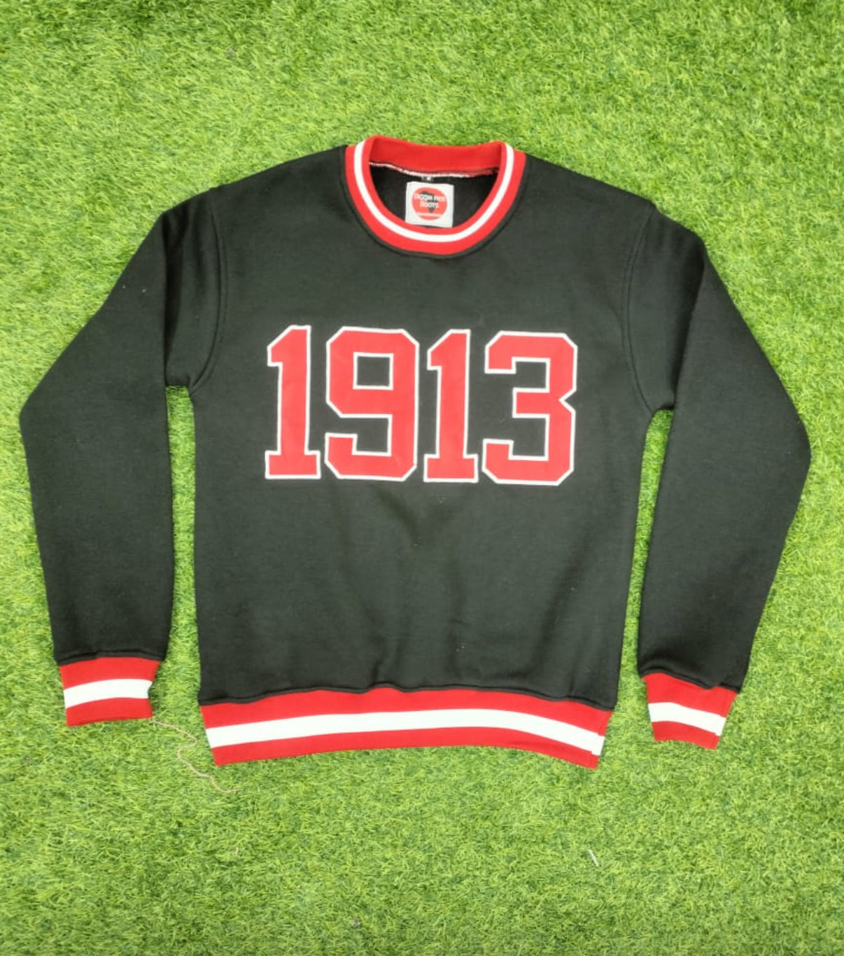 Delta Sigma Theta - sweatshirt