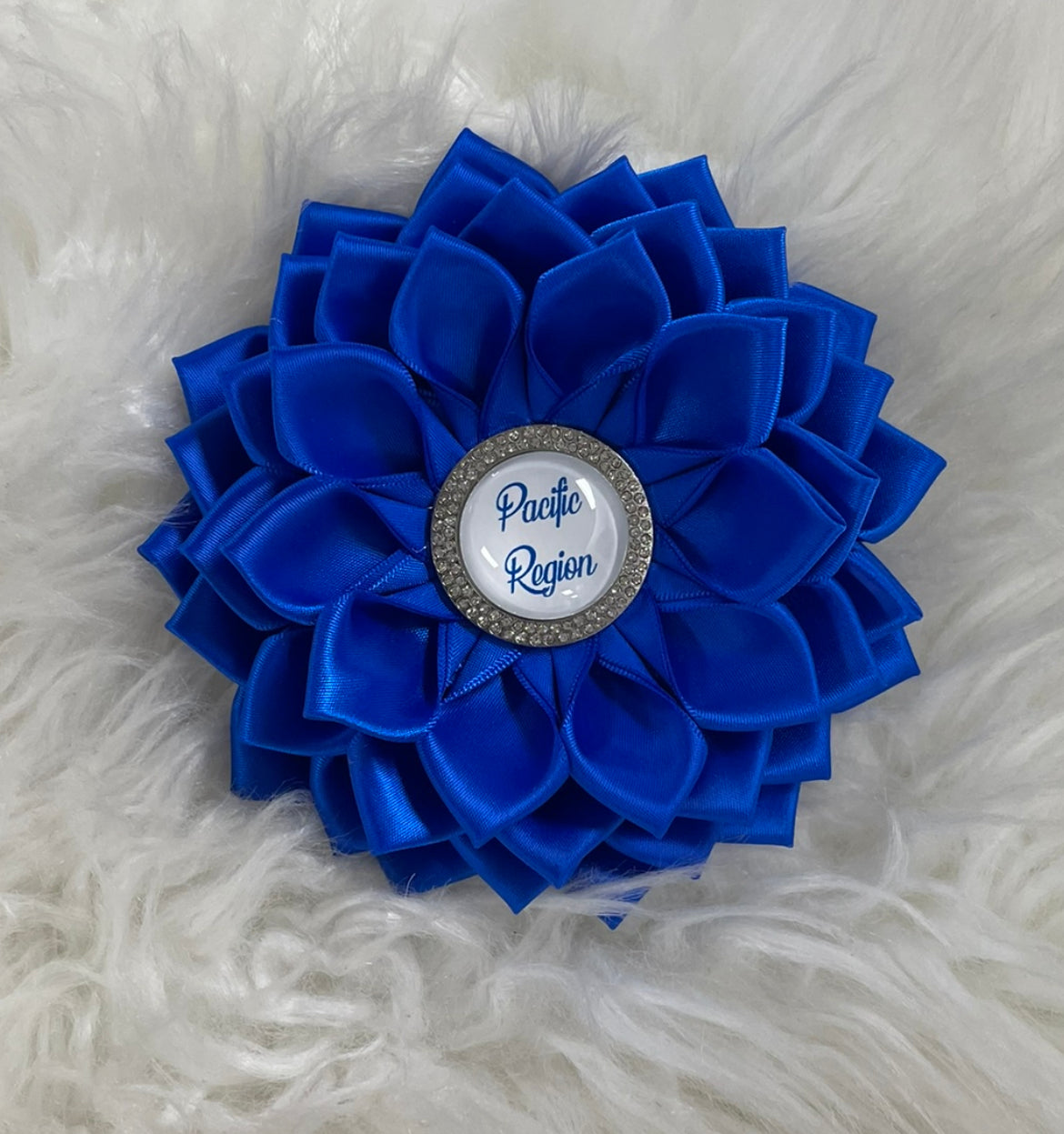 REGIONAL BROOCHES Zeta Phi Beta