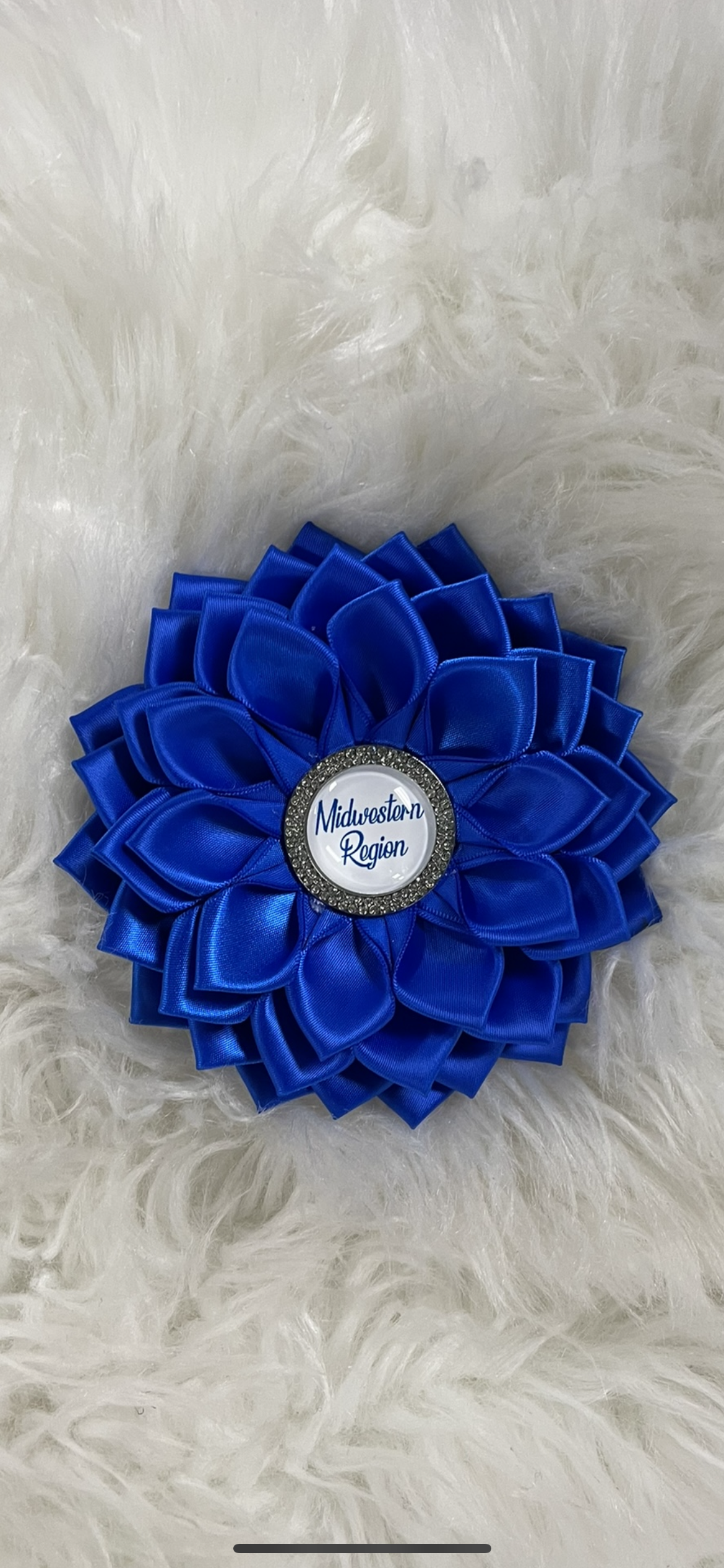 REGIONAL BROOCHES Zeta Phi Beta