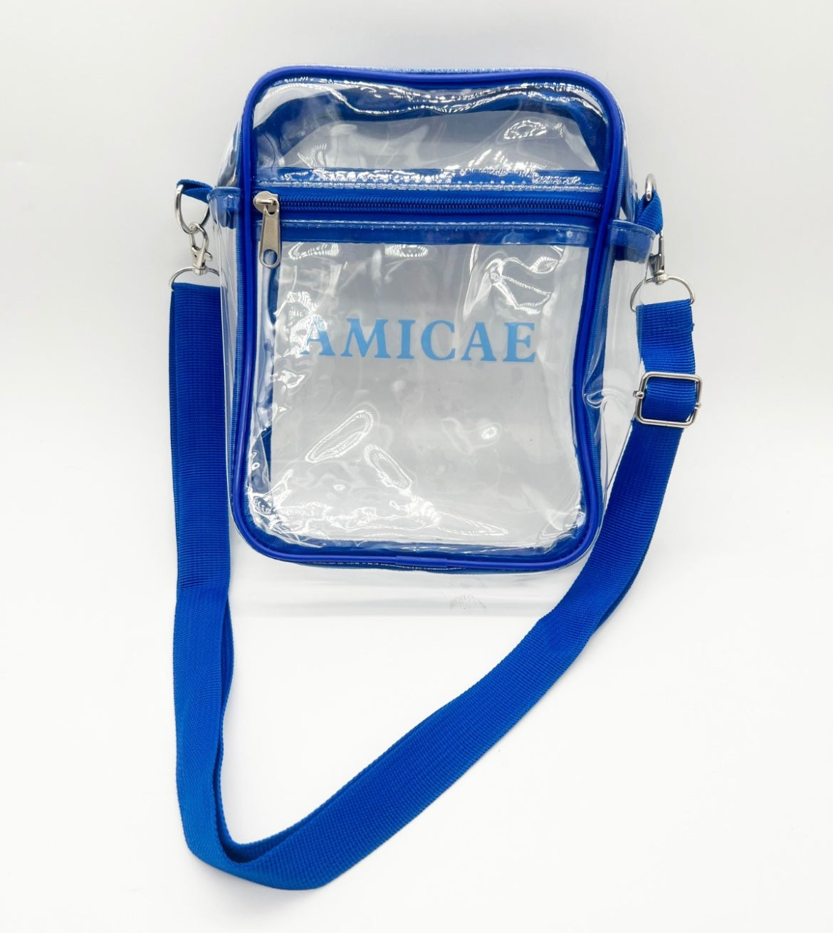 Amicae Transparent Crossbody Bag