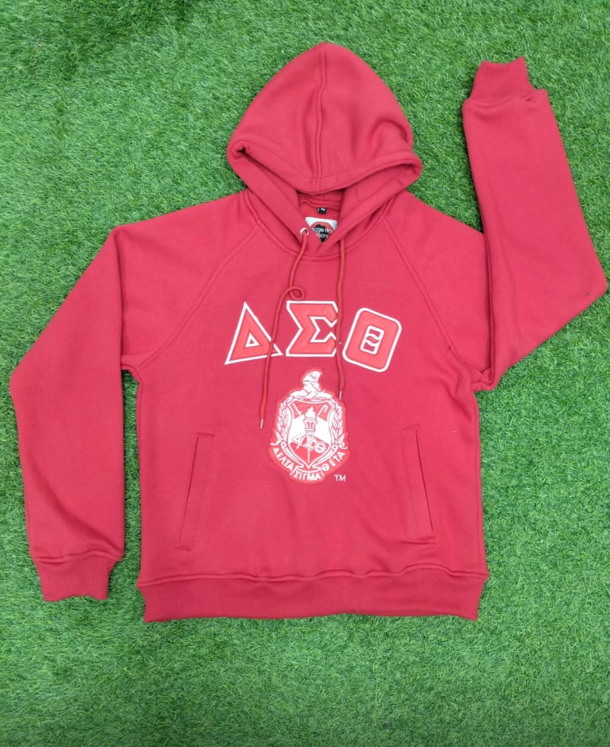 Delta Sigma Theta GREEK LETTER embroidered hoodie