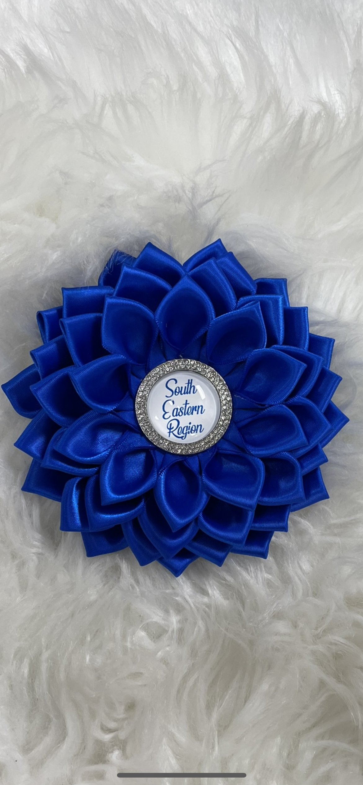 REGIONAL BROOCHES Zeta Phi Beta