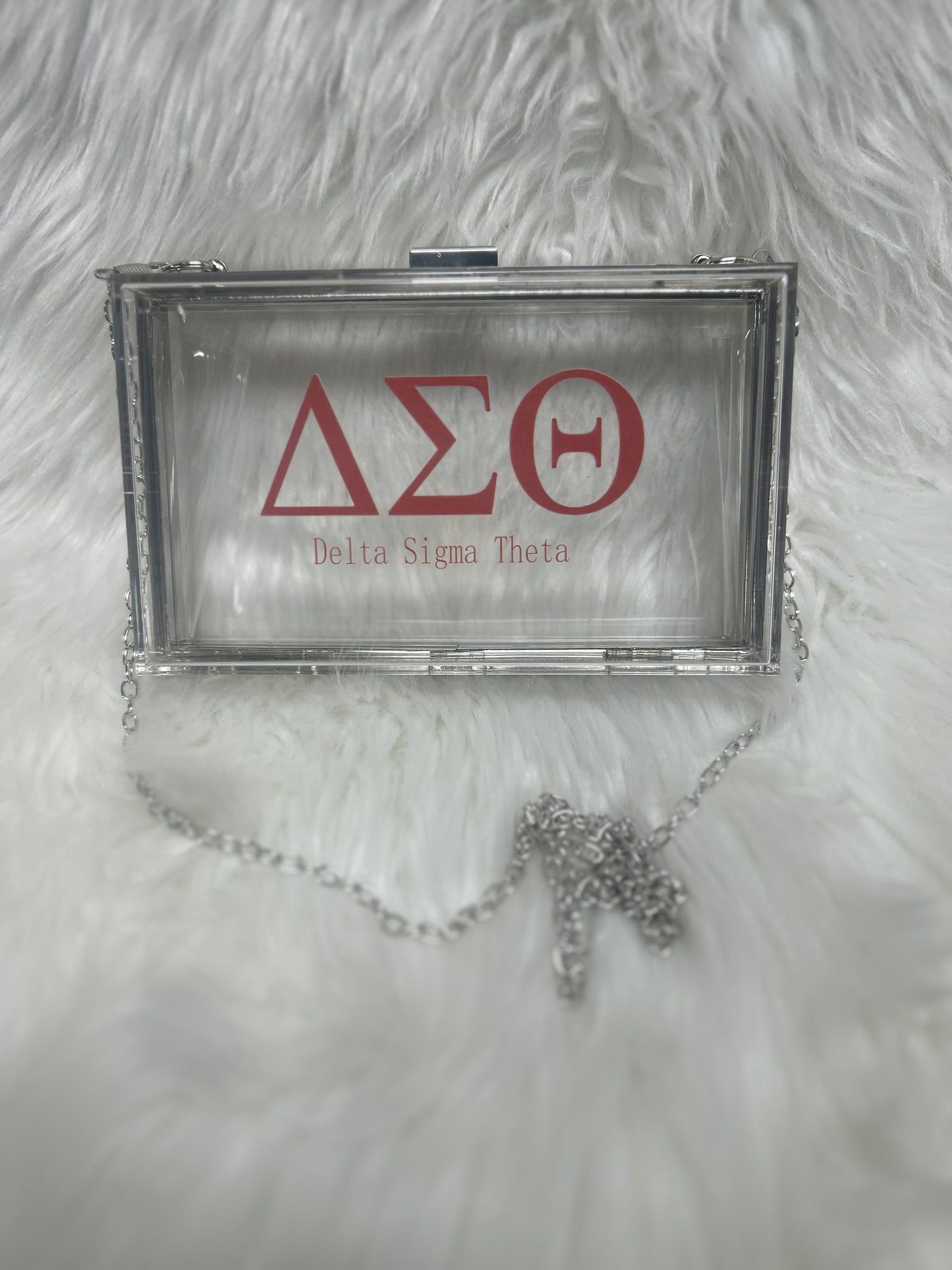 Delta Sigma Theta Stadium Clutch bag