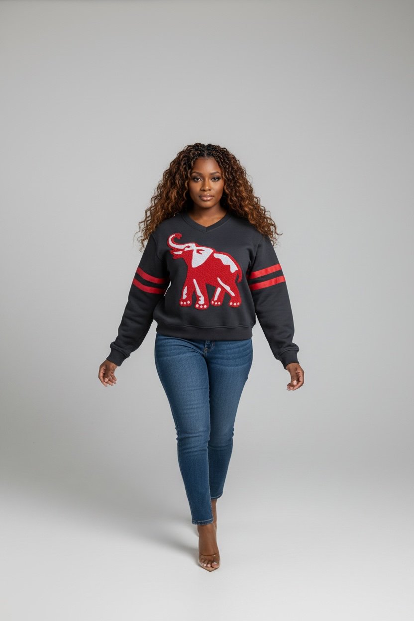 DST CHENILLE SWEATSHIRT- Available for order 8/30