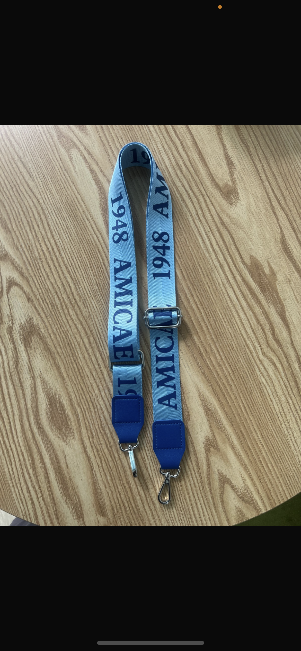 Amicae Adjustable purse straps