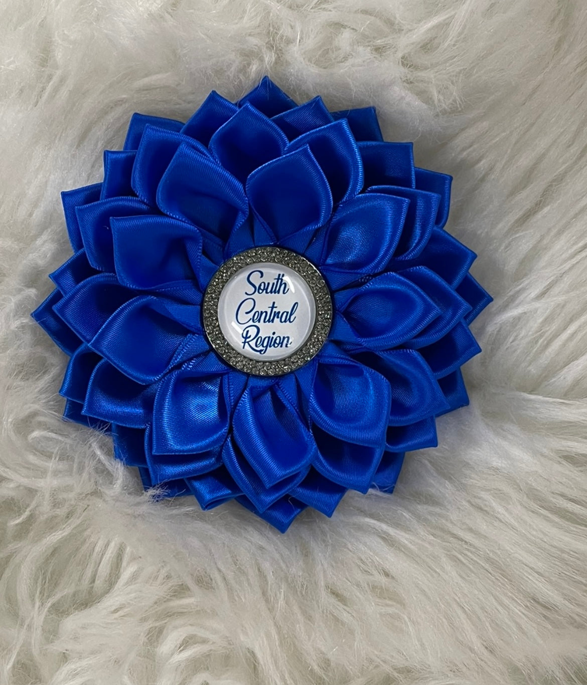 REGIONAL BROOCHES Zeta Phi Beta