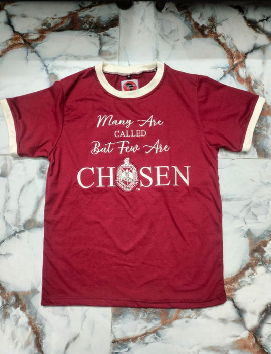 DST premium T shirt- ships in 10-14 days